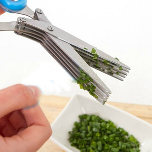 Herb Scissors with 5 Multi Stainless Steel Blades - iFoodies